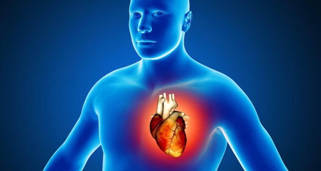 Wat is een hartkatheterisatie en wanneer is het nodig?