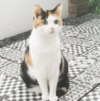 Profielfoto van Manuela