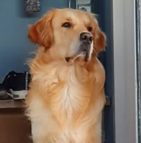 Profielfoto van Miriam