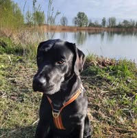 Profielfoto van Mariska