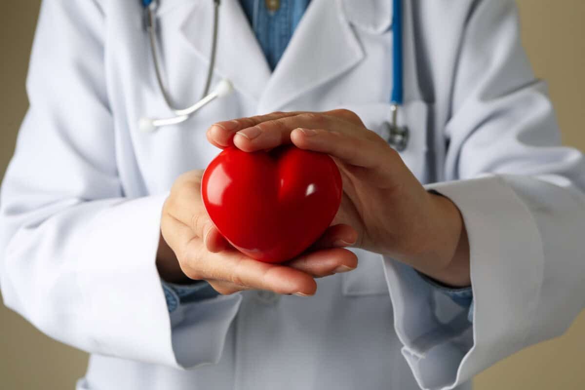 Doctor hold heart, close up and front view